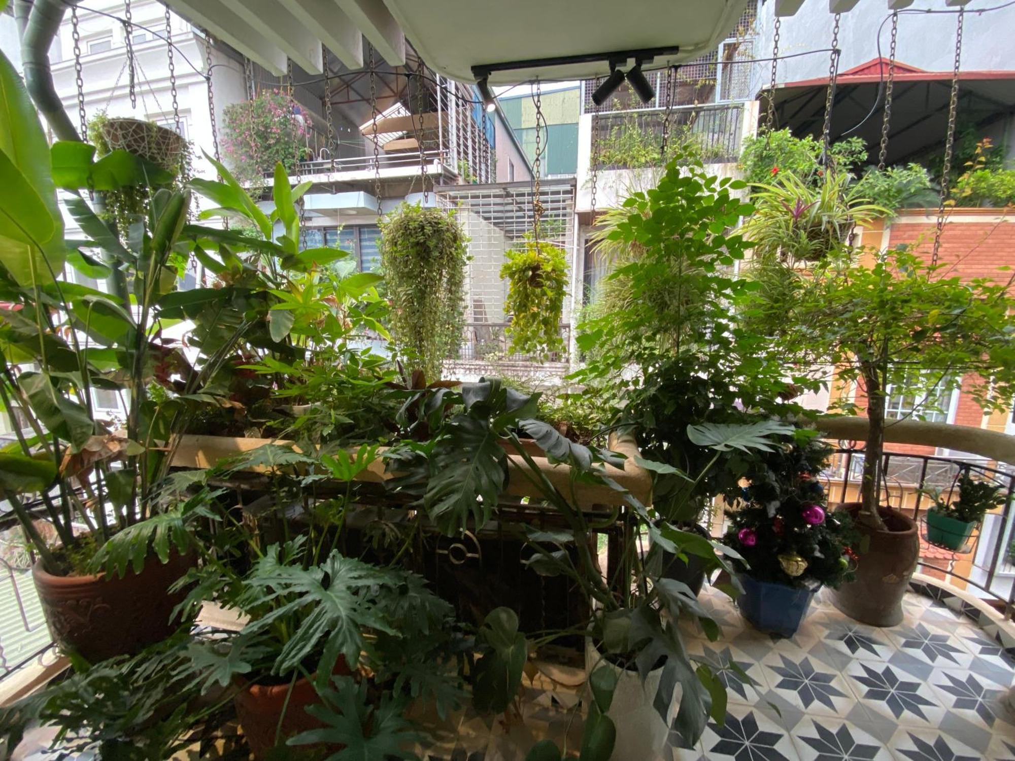 An Thuong House Khách sạn hẻo lánh *