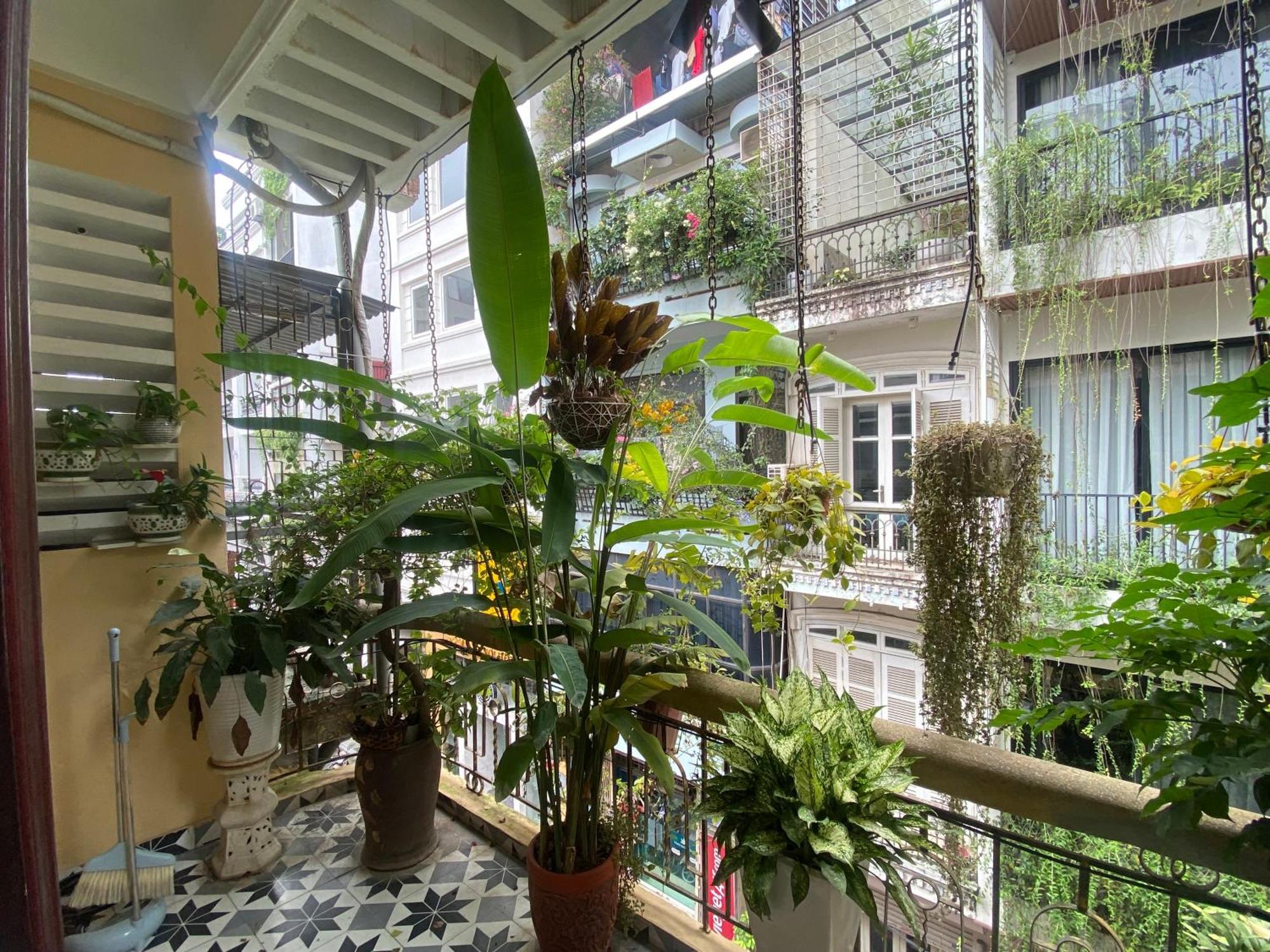 An Thuong House Hà Nội